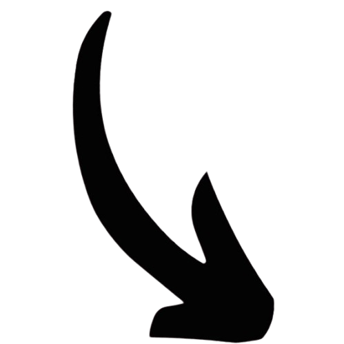 Flow arrow
