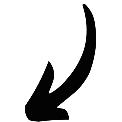 Flow arrow